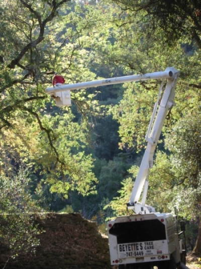 tree trimming truck